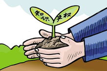 企南針 專業知識產權服務，為您的創新成果保駕護航
